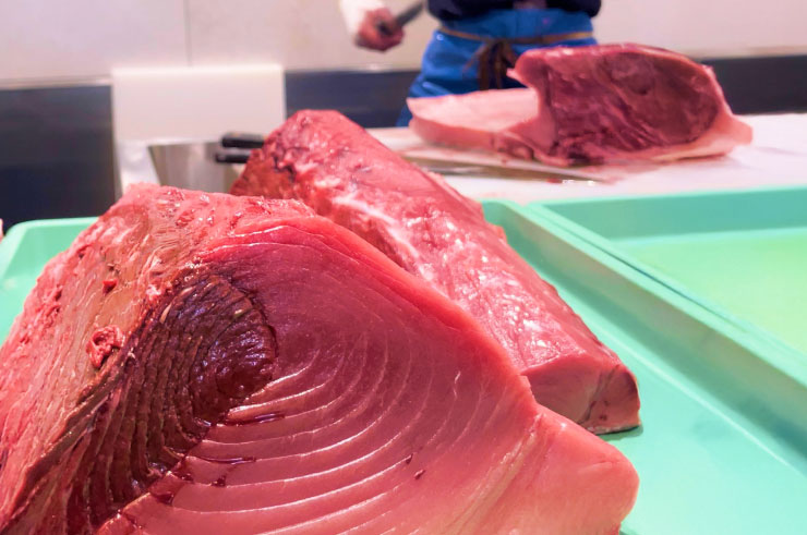 マグロイメージ